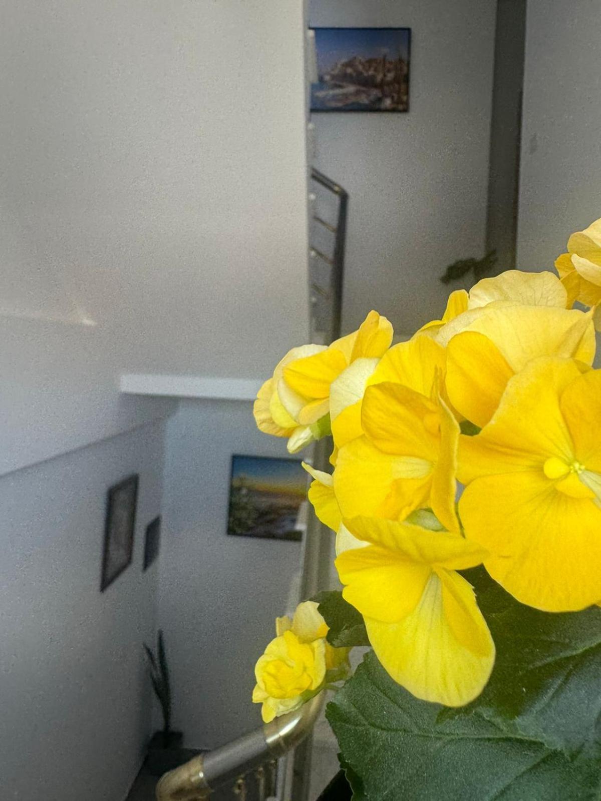 Vila Brilant Avlonya Dış mekan fotoğraf